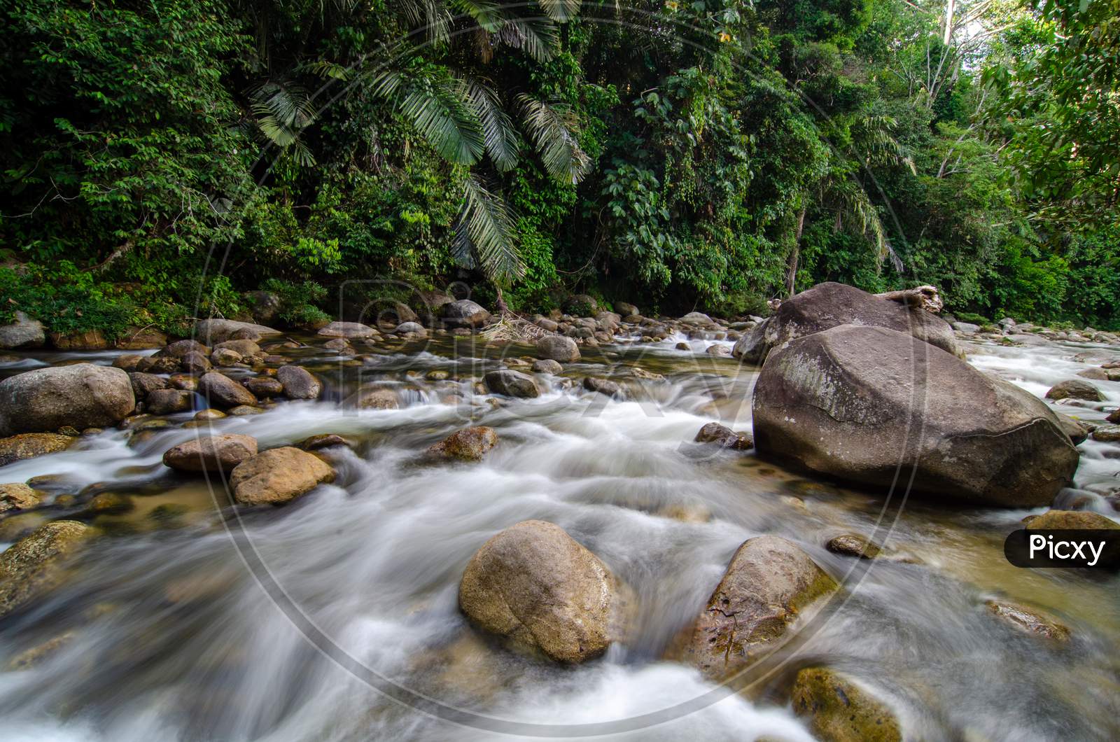 Slow Motion Water Flow In The River At Sungai Sedim, Kedah.