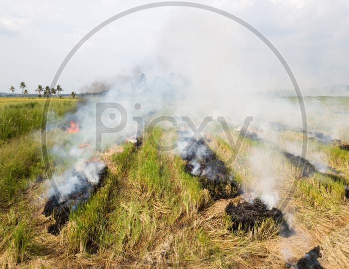 Aerial View Smoke Release From Burning Of Paddy Field.