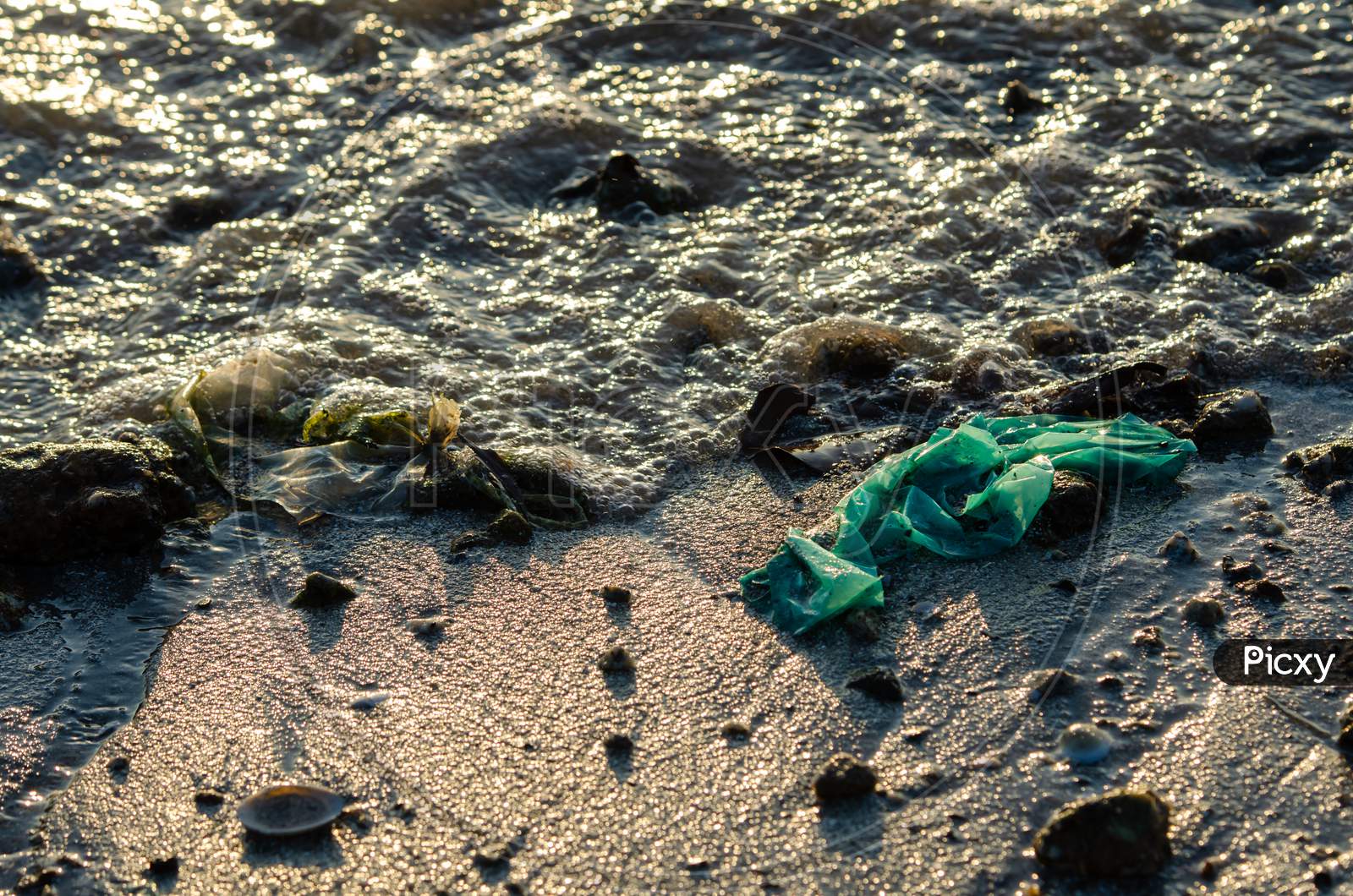 Green Plastic At Sea.