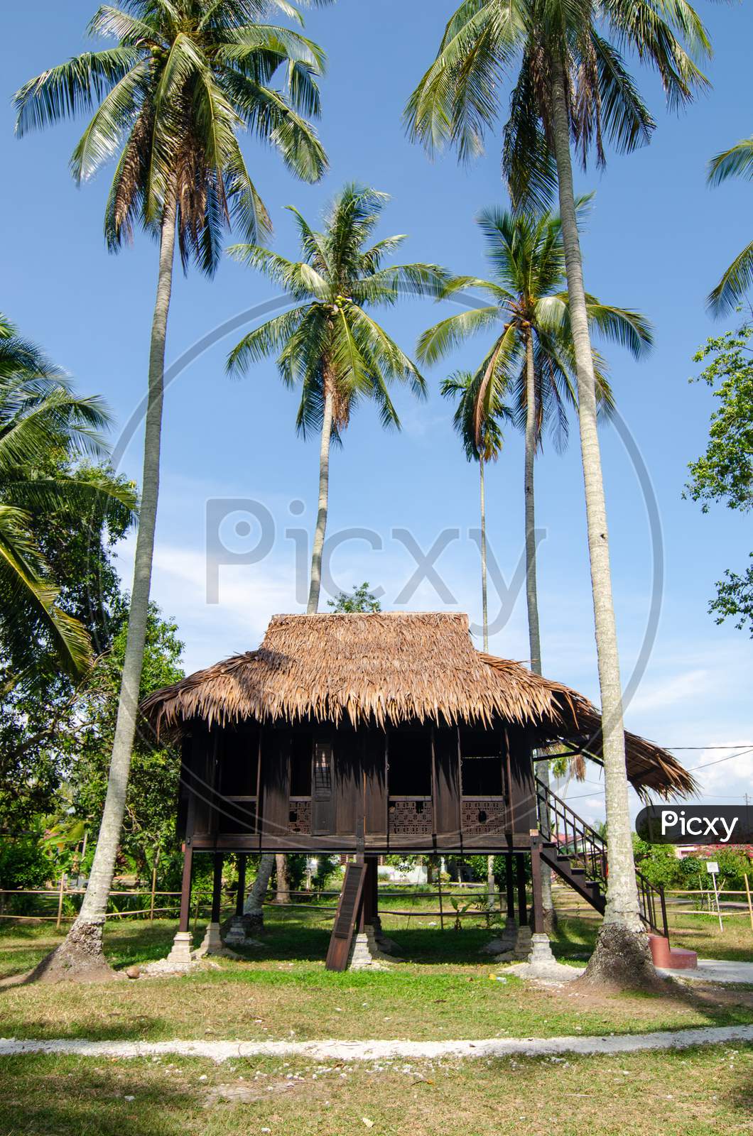 Malays Wooden House In Coconut Farm At Kampung Agong, Penang.