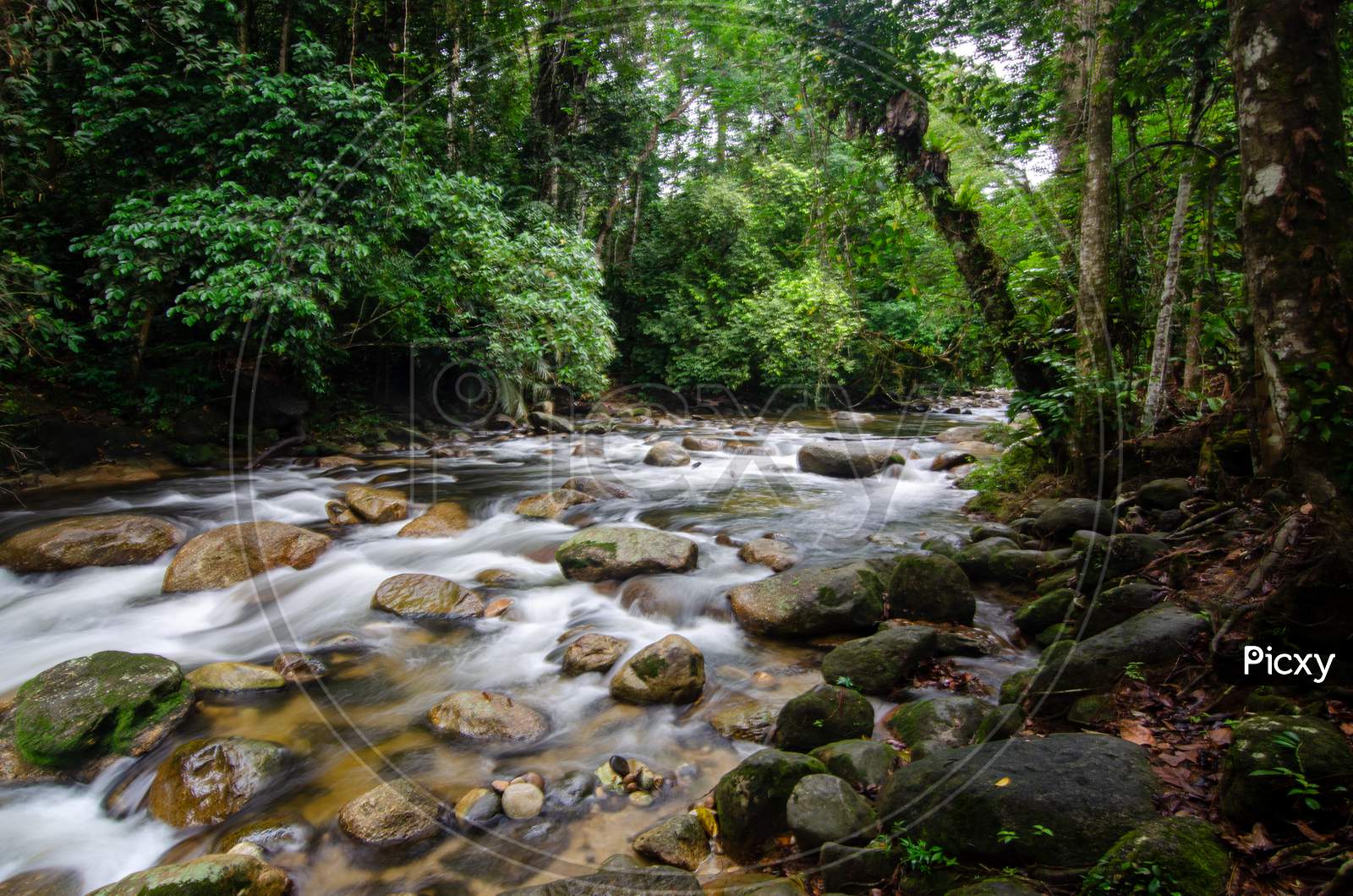 Water Stream Flow In Forest Sungai Sedim, Kedah, Malaysia.