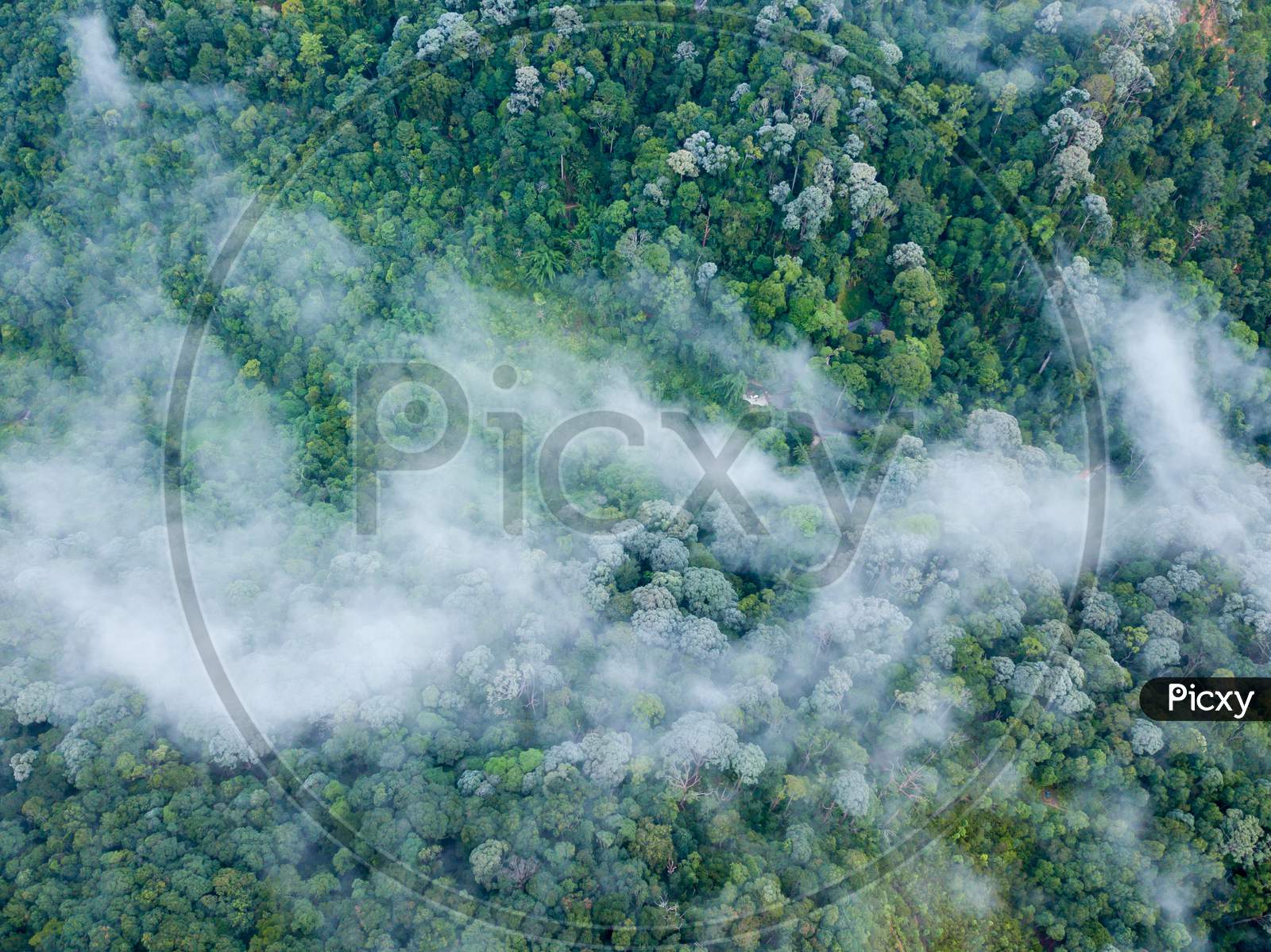 Aerial View Sea Cloud Over Rainforest At Penang.