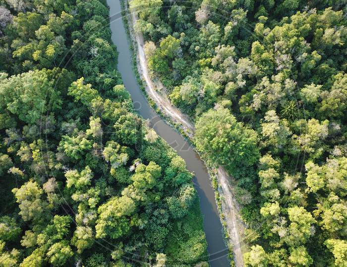 Aerial View River In Lush Green Woodland.