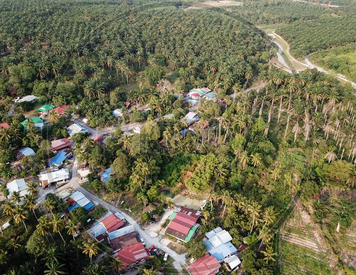 Rural Village Surrounded By Oil Palm Estate.