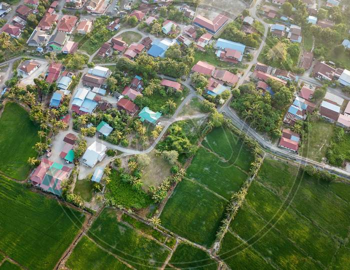 Aerial View Malays Village Beside Paddy Field.