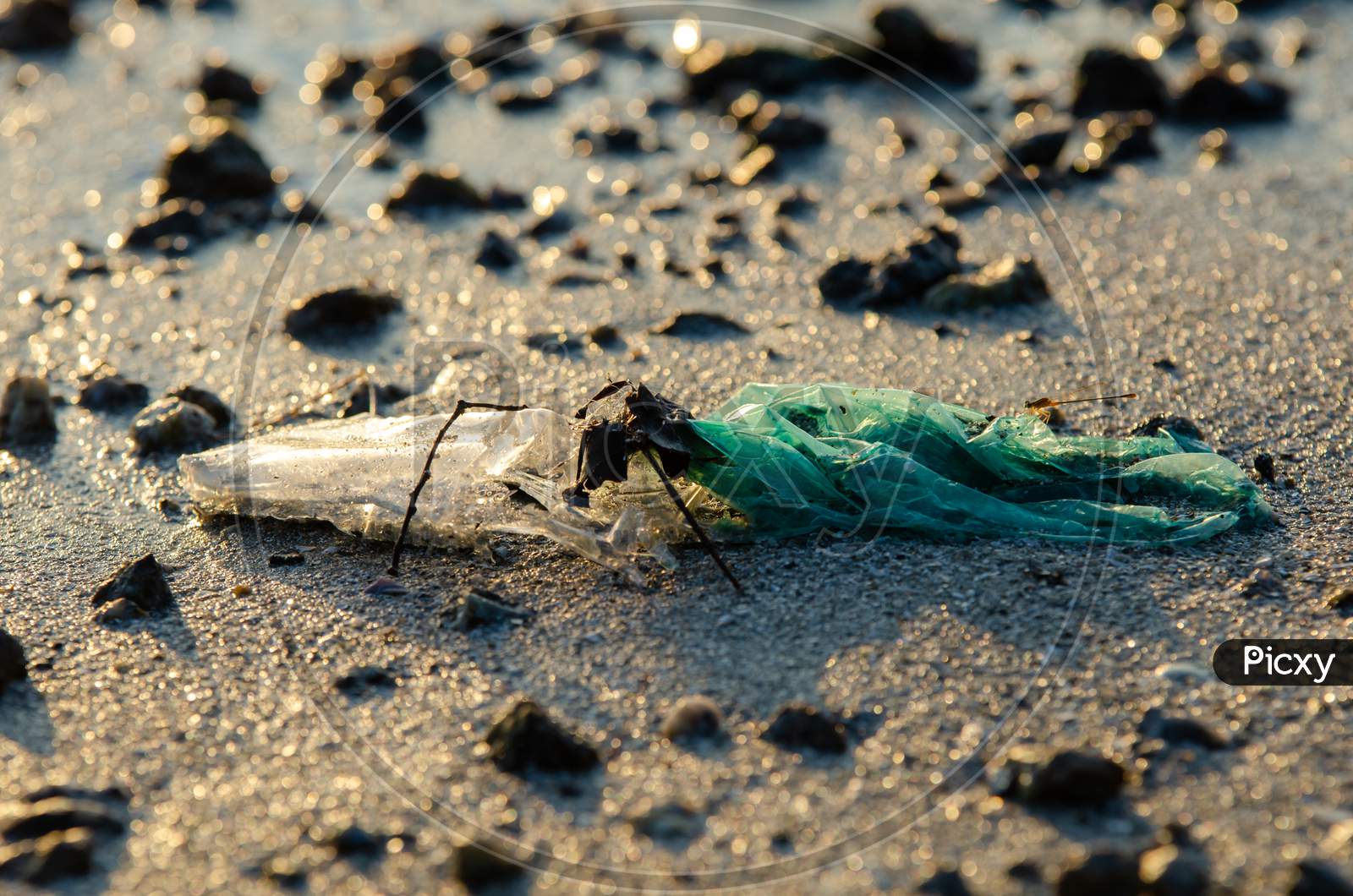 Plastic Rubbish At Sea Coastal In Morning.