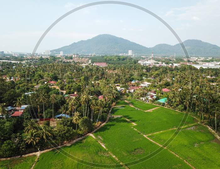 Drone View Paddy Field Near Malays Village.