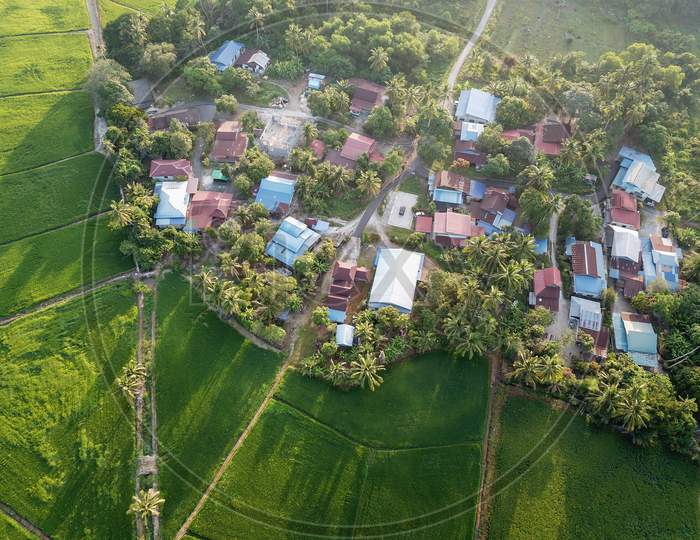 Aerial View Scenery Of Paddy Field At Village Malays At Bukit Mertajam, Penang.