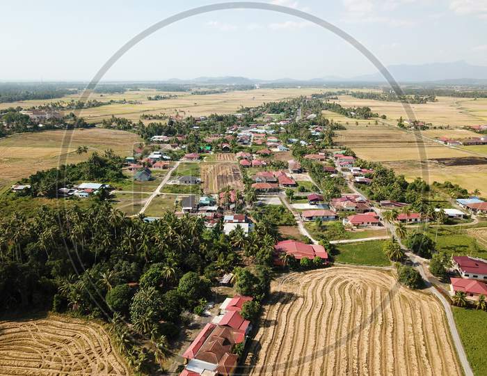Aerial View Harvested Paddy Field In Malays Kampung.