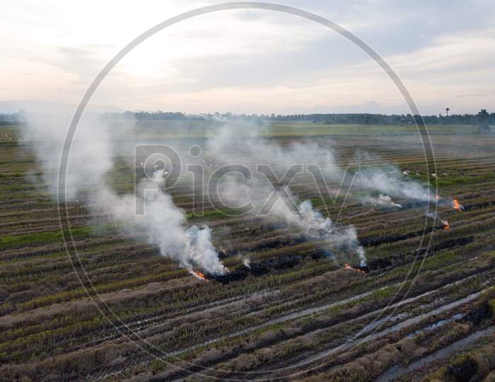 Aerial View Open Burning At Paddy Field.
