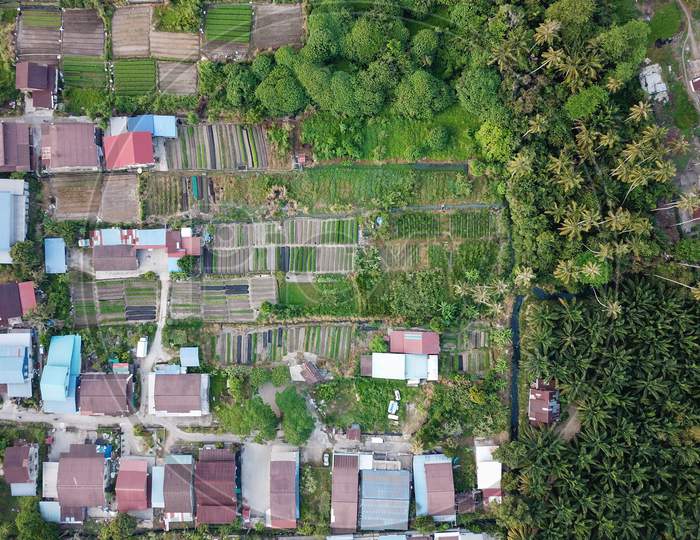 Farmland From Above Near Kampung House At Bukit Mertajam, Penang.