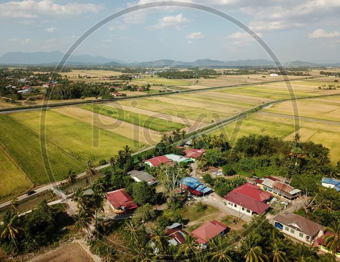 Aerial Scene Malays Village And Harvested Paddy Field At Penaga.