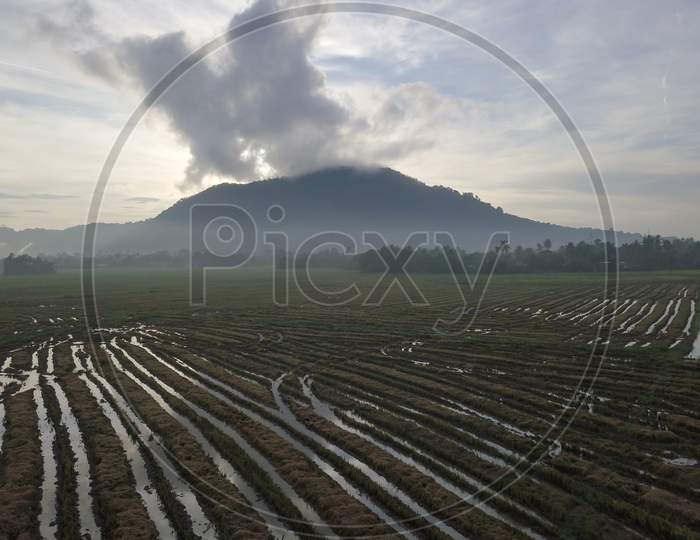 Aerial View Paddy Field After Harvesting At Bukit Mertajam, Penang.