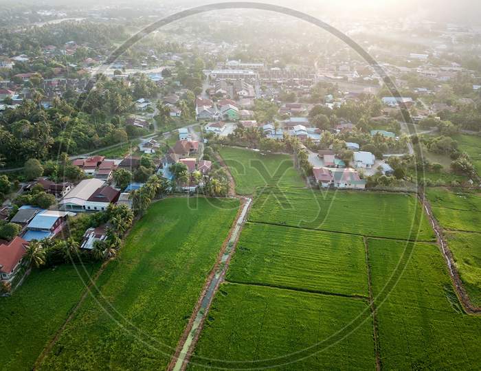 Aerial View Malays Village Near Paddy Field In Morning.