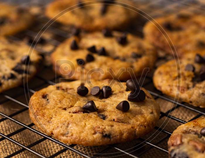 Close up shot of Freshly baked chocolate chip cookies