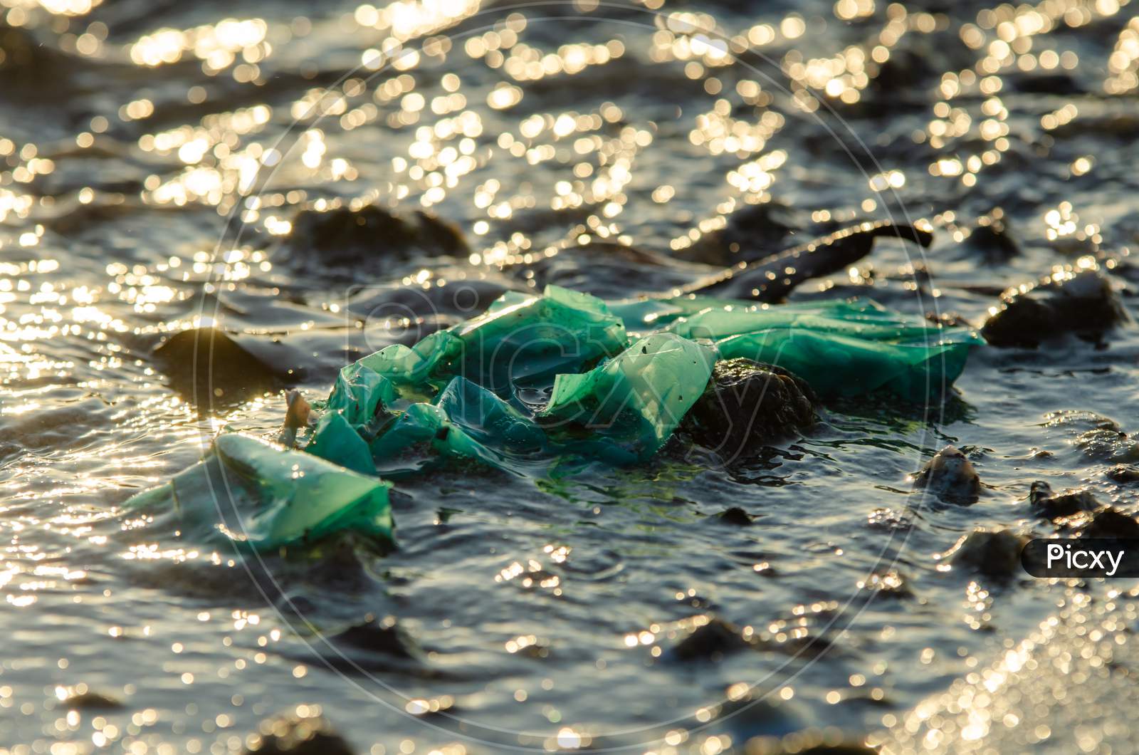 Plastic Waste Contamination At Sea In Sunlight in the Morning.