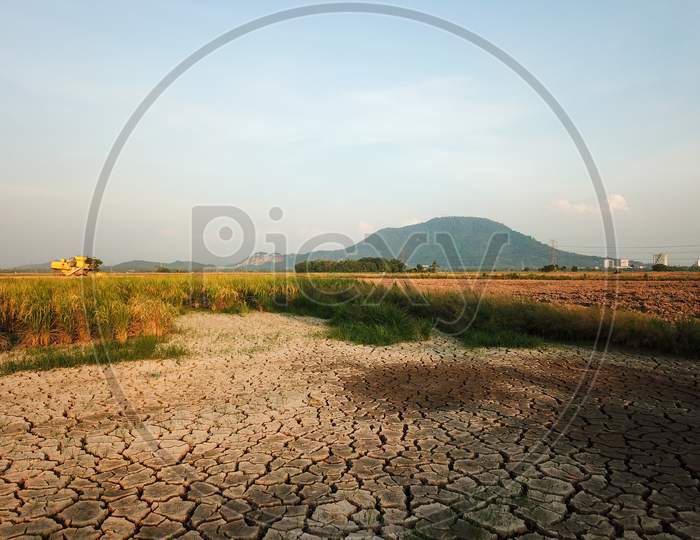 Dry Land At Paddy Field Due To Drought.