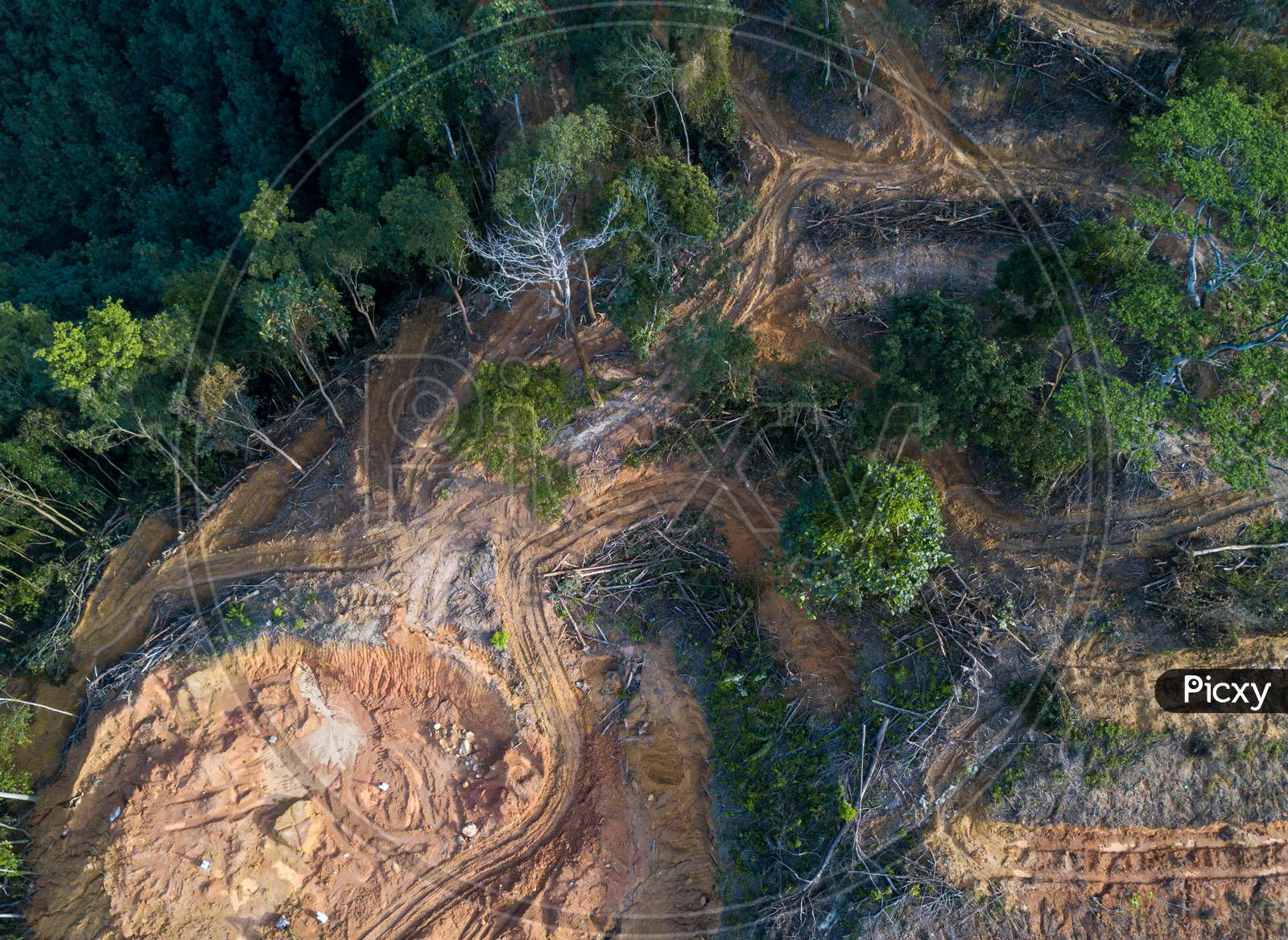 Aerial View Look Down Trees At Forest Is Cleared.