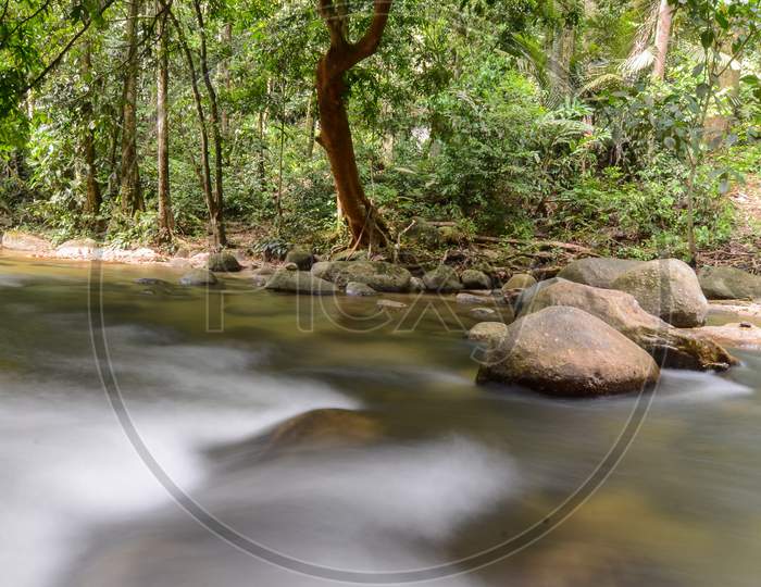 Slow Motion Water Flow At Sungai Sedim Rainforest.