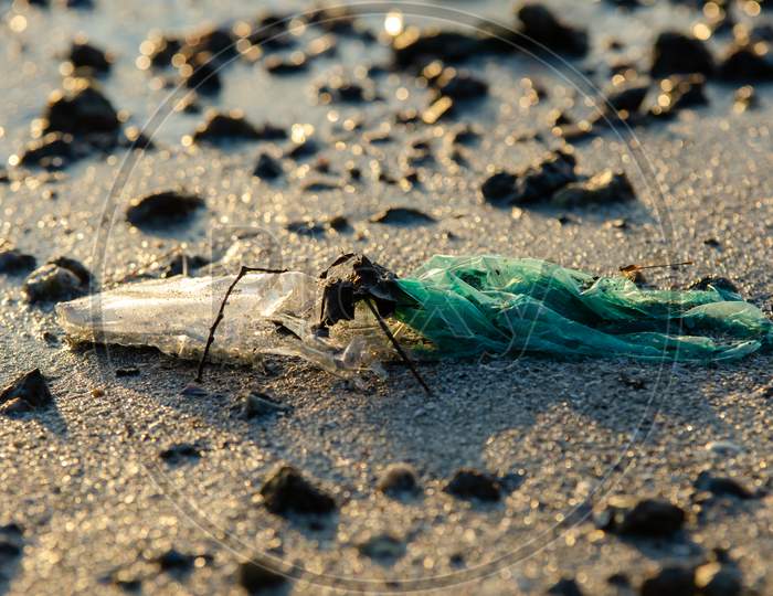Plastic Rubbish At Sea Coastal In Morning.