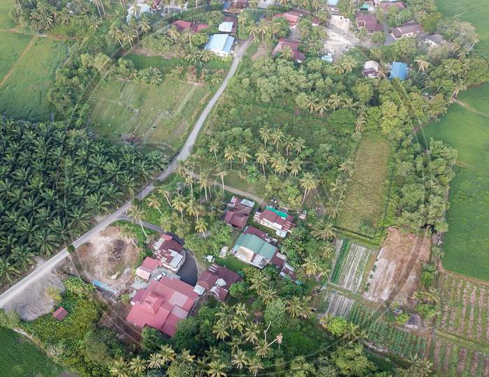 Aerial View Kampung House Surrounded By Green Scenery.