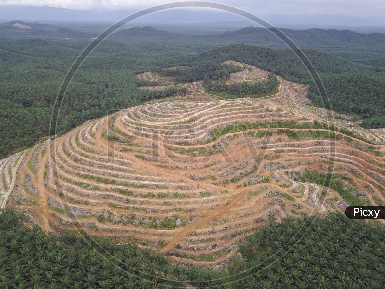 Aerial View Land Clearing At Oil Palm Estate At Kedah.