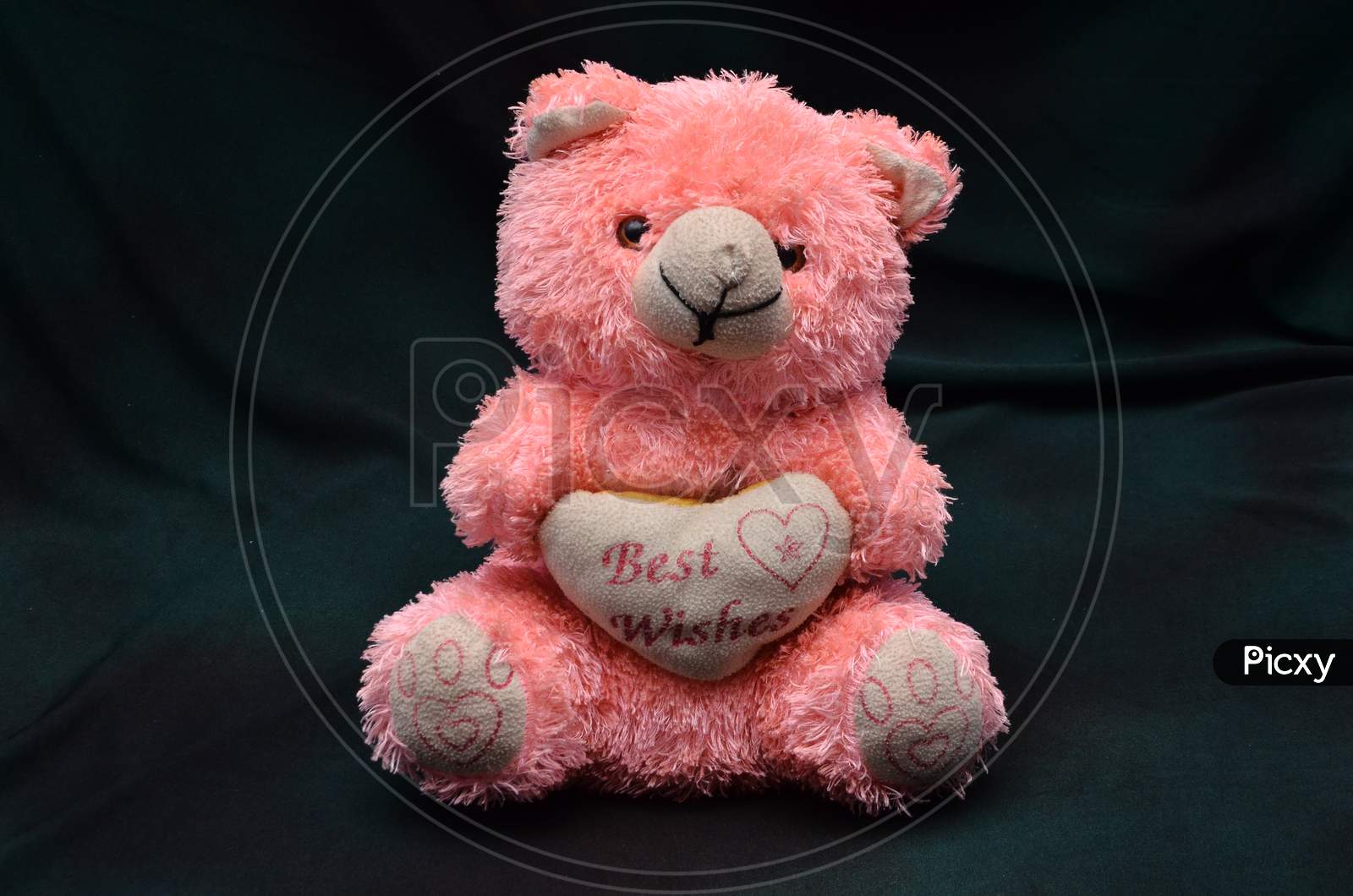 Pink Teddy Bear On Black background