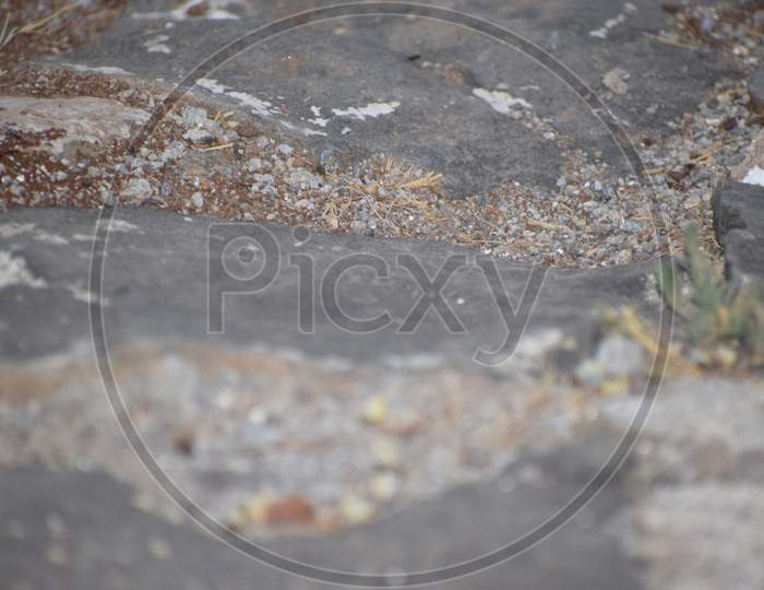 It is the floor in the garden with rocks