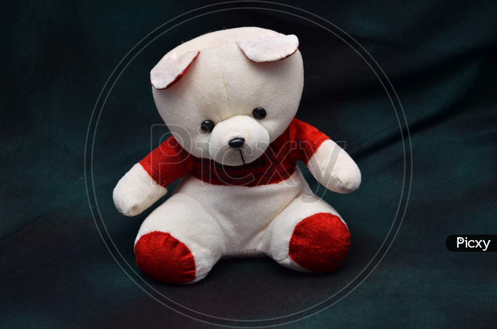 Teddy bear Doll on Isolated Grey background