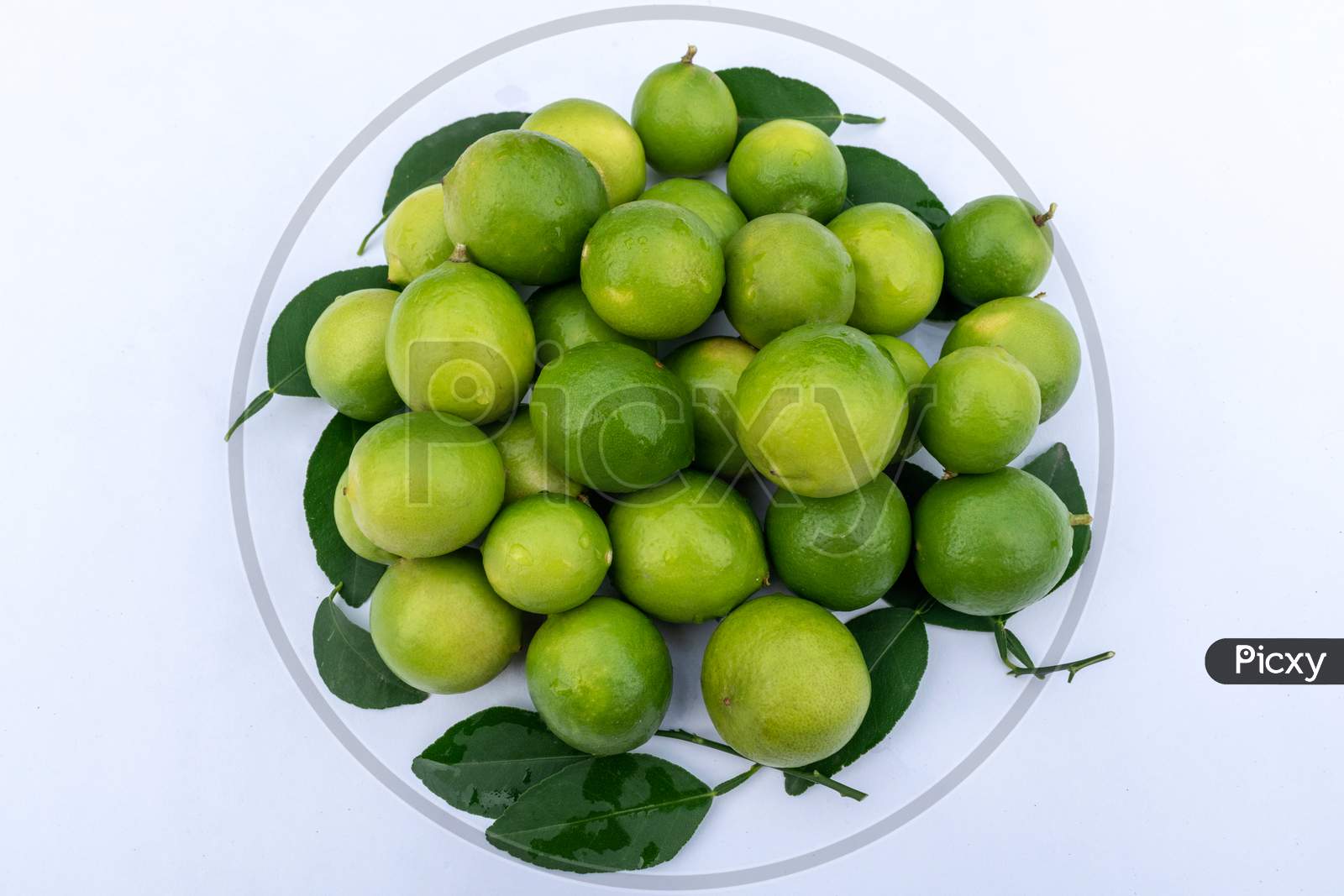 lemons with green leaves on white background