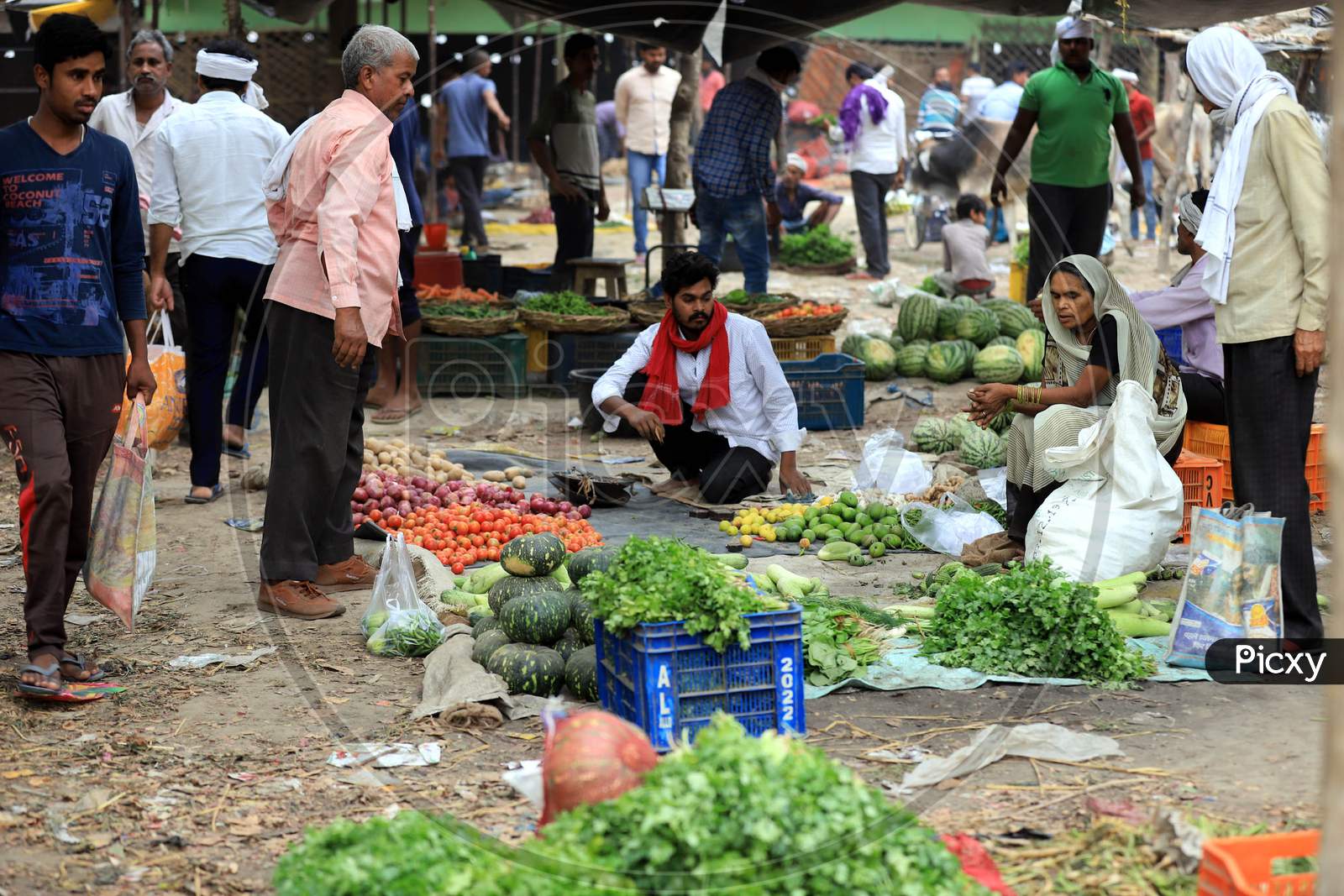 Vendors Selling Vegetables at a Market During Nationwide Lockdown Amidst Coronavirus or COVID-19 Outbreak in Prayagraj,April 24,2020