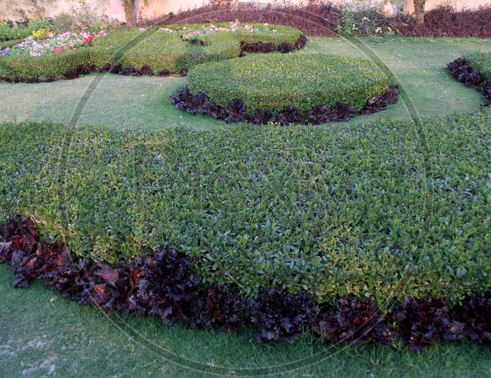 Beautiful English style garden with round hedges & symmetrical type design