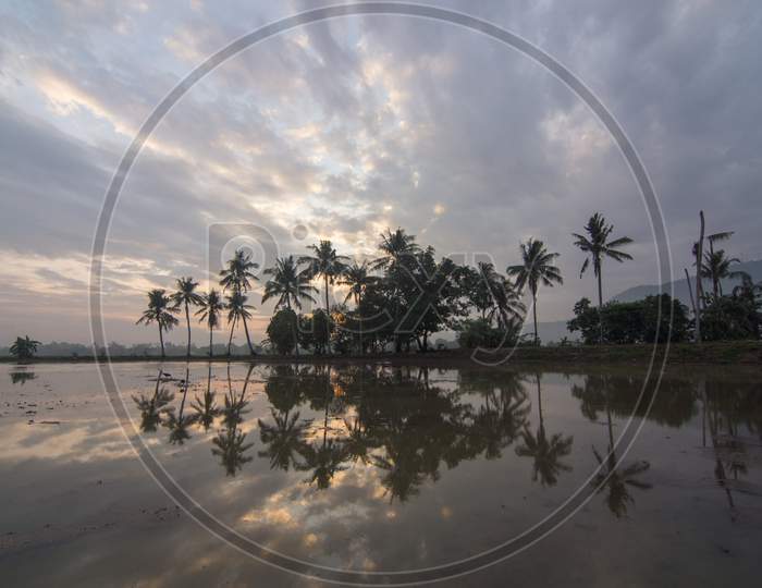 Reflection One Row Coconut Tree In Water With Cloudy Weather.
