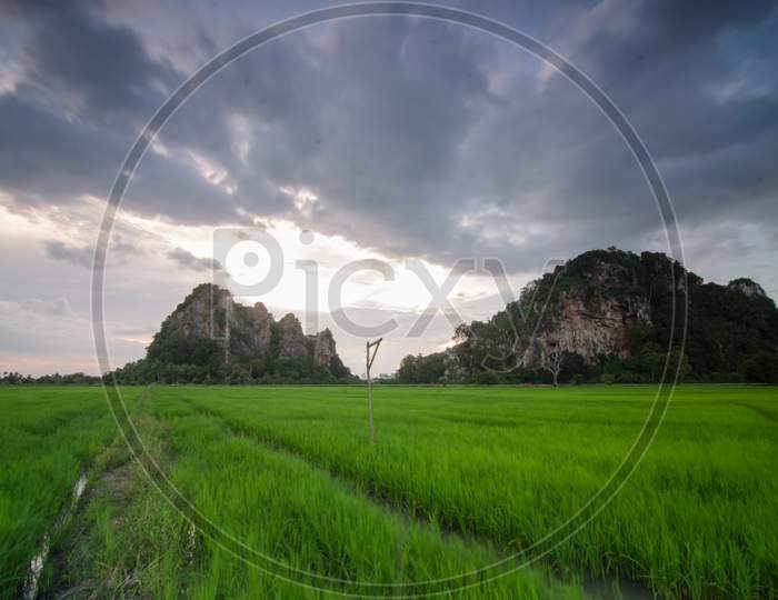 Landscape Of Limestone Hill In The Paddy Field At Kodiang,Kedah,Malaysia.