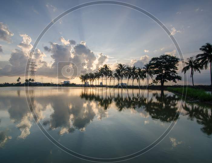 Reflection of Coconut Trees With Amazing Sun Light Break Through The Thick Clouds