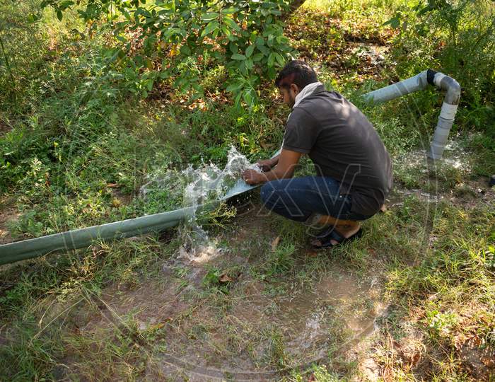 A farmer connecting two pipes for the irrigation of guava's garden