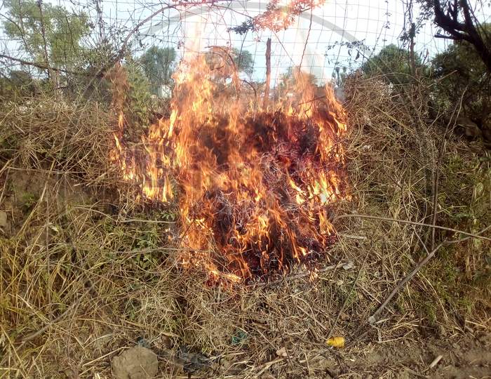 Setting bushes on fire at a farm