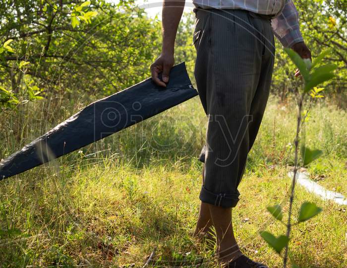 Farmer carrying pipe for the irrigation purpose at a guava's garden