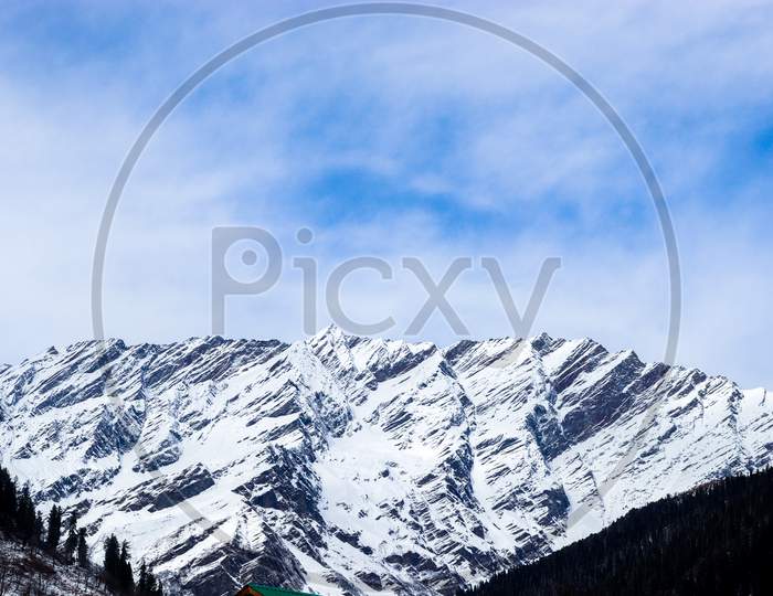 Snow-Covered Mountain In The Background With Mountain Covered With Pine Trees In The Front.