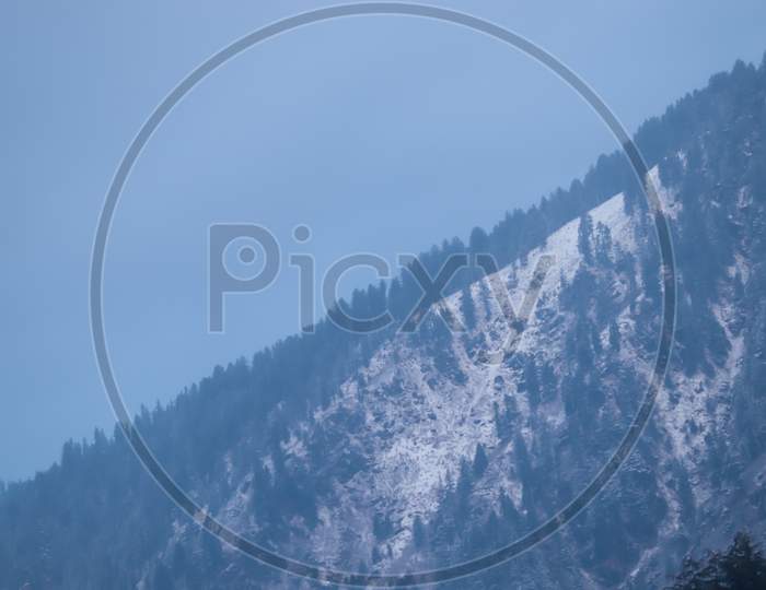 Mountain Covered With Snow And Pine Trees During Winter Season.