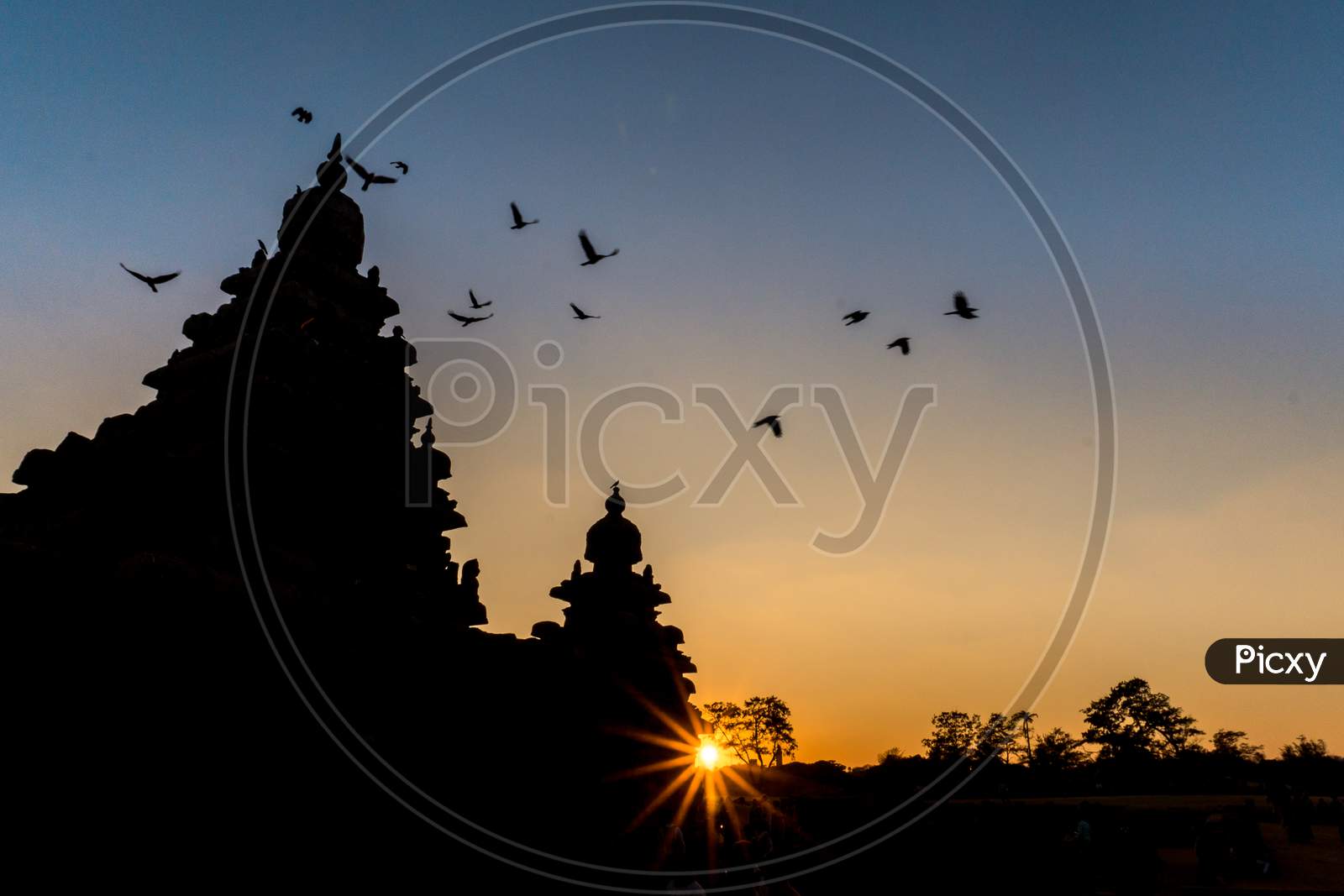 Silhouette of Shore Temple during golden hours
