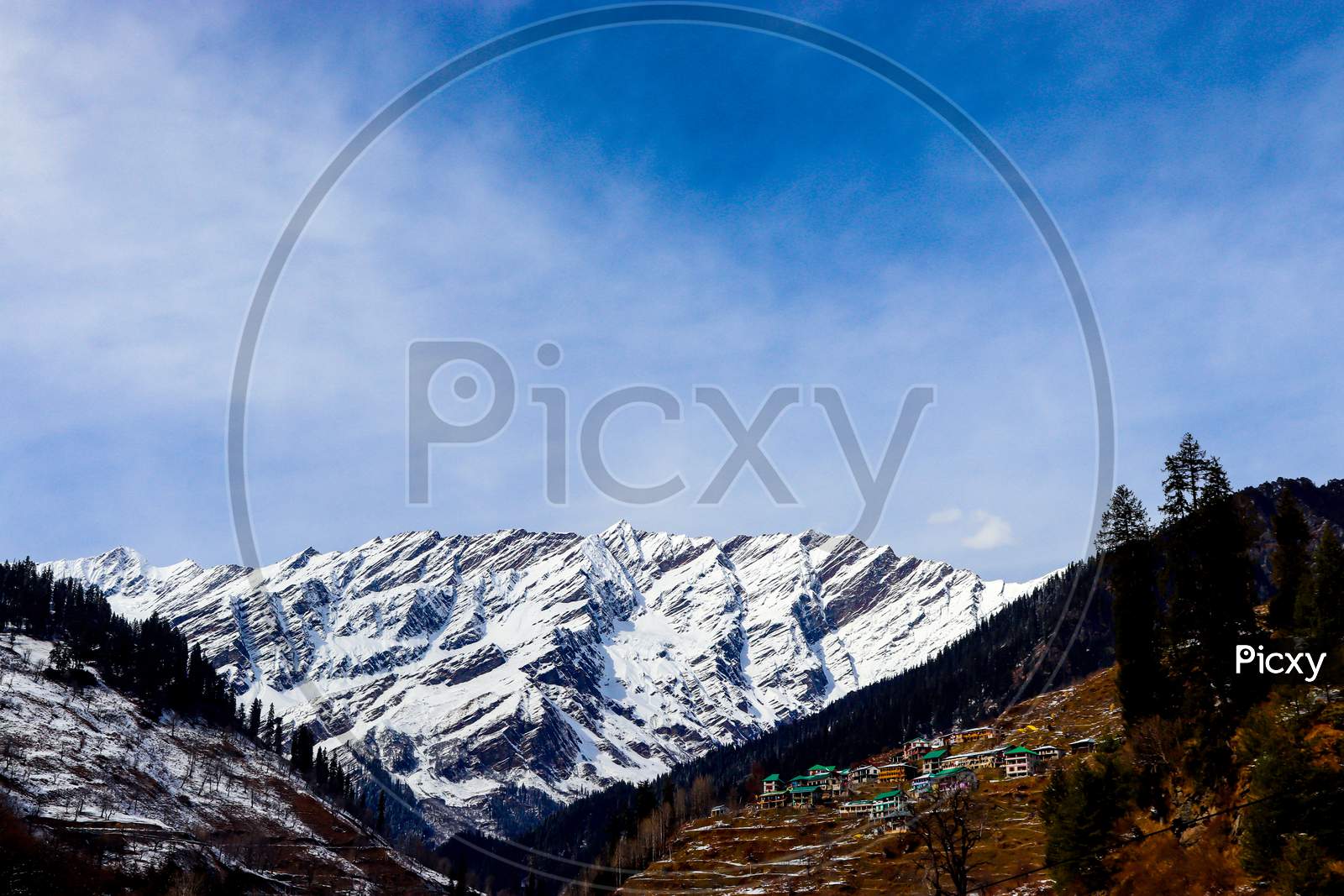 Snow-Covered Mountain In The Background With Mountain Covered With Pine Trees In The Front.