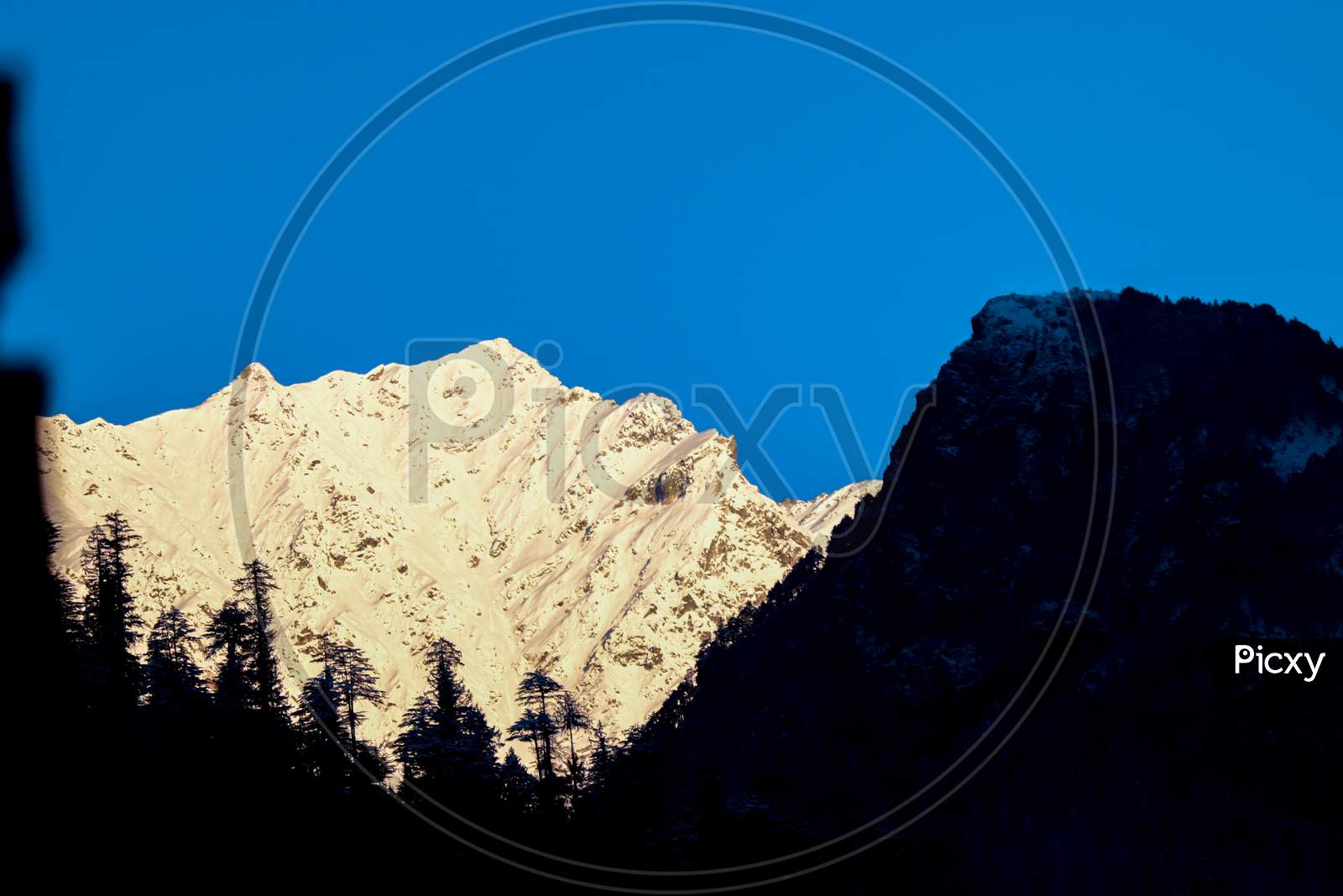 Sunrise On The Snow-Covered Mountain. The Mountain In The Front Is Covered With Pine Trees.