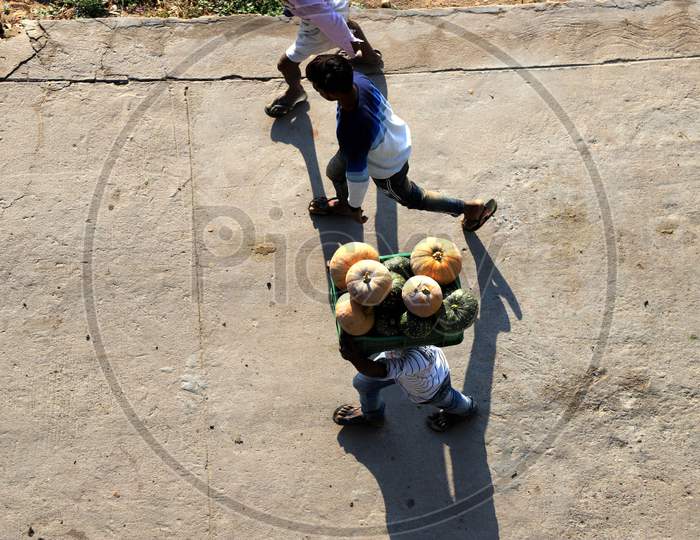 A Farmer Carries Pumpkin  On His Head  During  Nationwide Lockdown Amidst Coronavirus Or COVID-19 Pandemic In Prayagraj