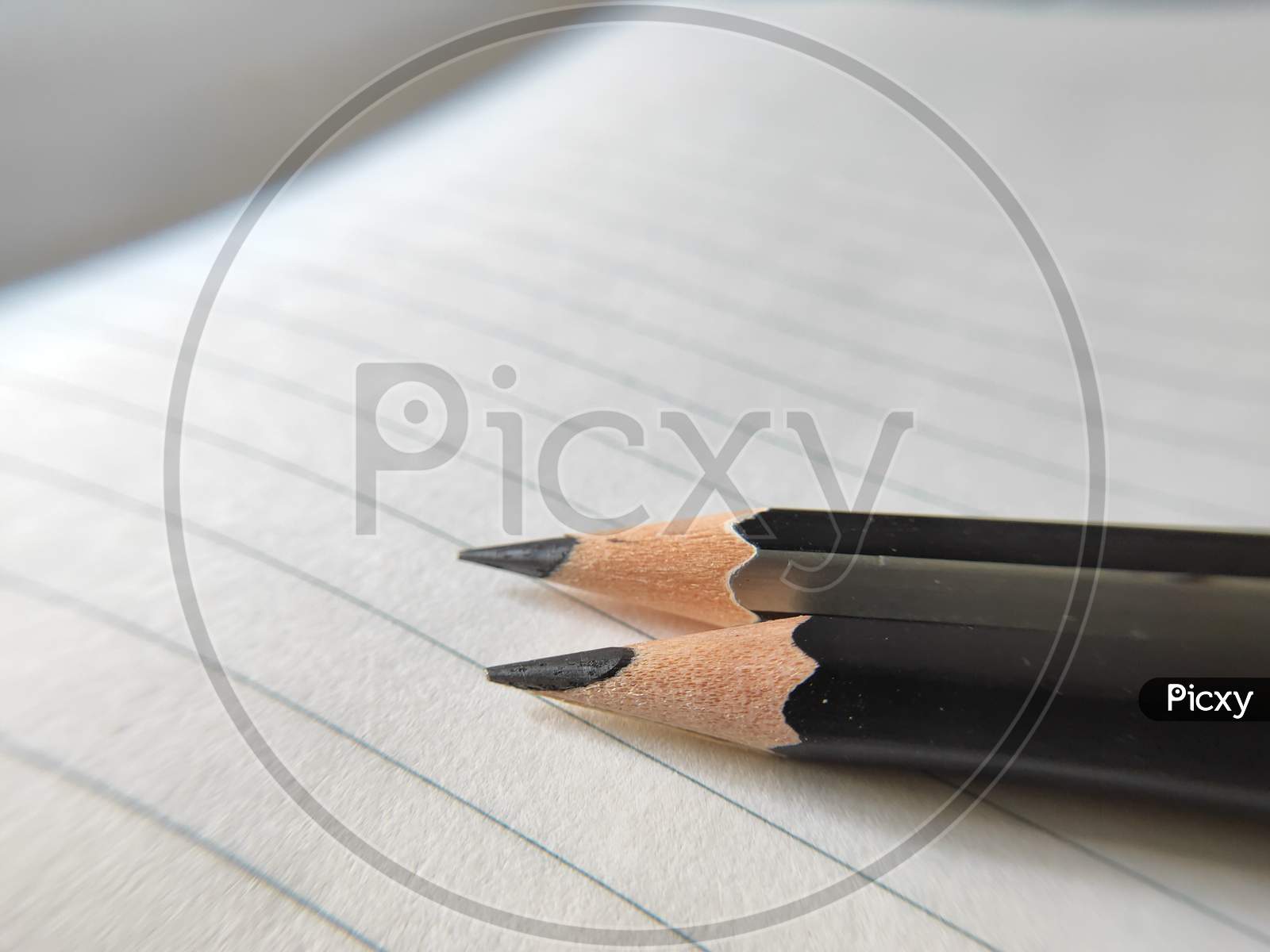 Pencil on white background. Pointed pencil on plain background. Pencil and sharpener on white paper. Pencil and straight line on paper.