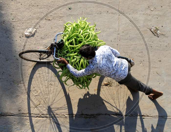 A Farmer Carries Cucumber On His Bicycle  From Farms During  Nationwide Lockdown Amidst Coronavirus Or COVID-19 Pandemic In Prayagraj