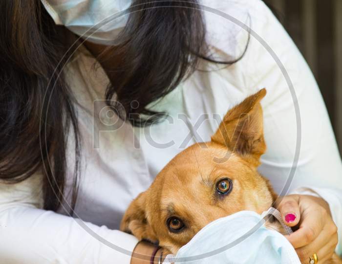 An Indian Health Worker And Her Pet Dog Wearing A Mask During Corona Virus Pandemic and Spreading The Awareness