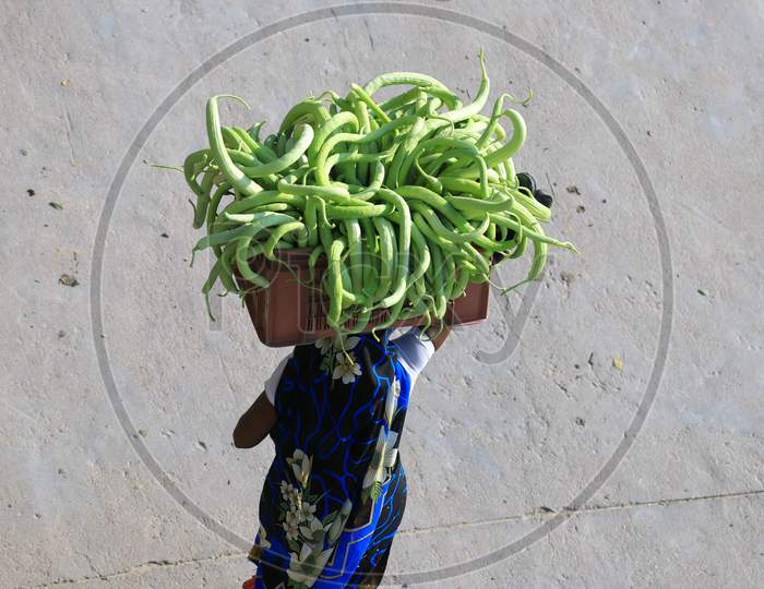 A woman carries a basket of Cucumber on her head to the market, during government-imposed nationwide lockdown as a preventive measure against the COVID-19 or Coronavirus in Prayagraj, April 29, 2020.