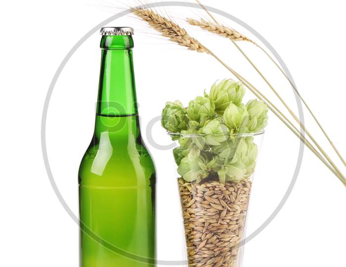 Bottle Of Beer And Hop In Glass. Isolated On White Background.