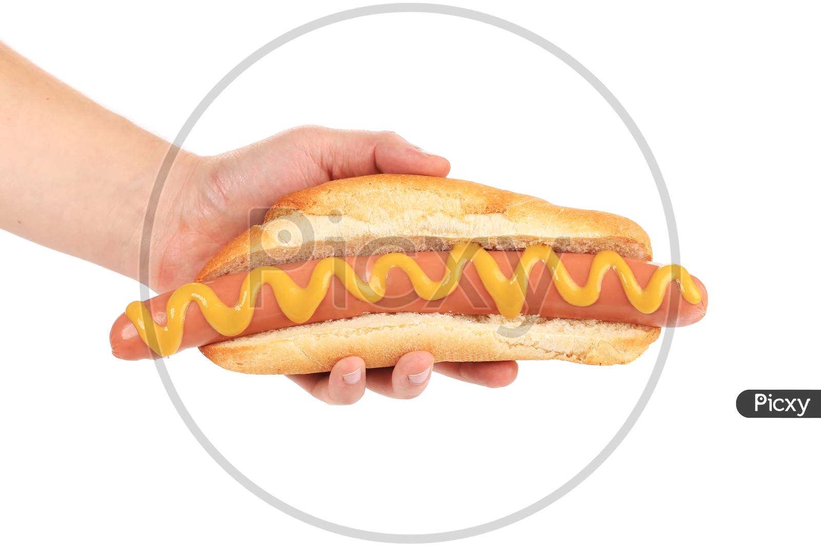 Hotdog With Mustard In Hand. Isolated On A White Background.